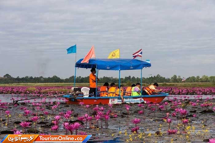 دریاچه لوتوس