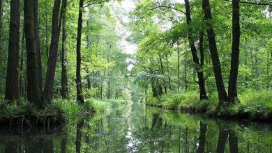 براندنبورگ