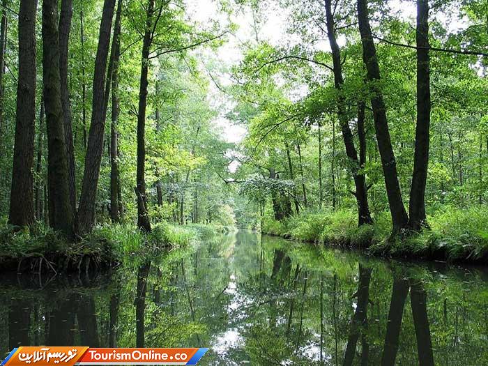 براندنبورگ