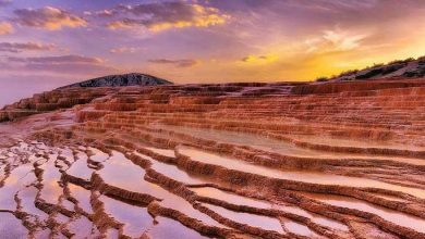 باداب‌ سورت مازندران