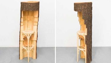 تنه های درخت