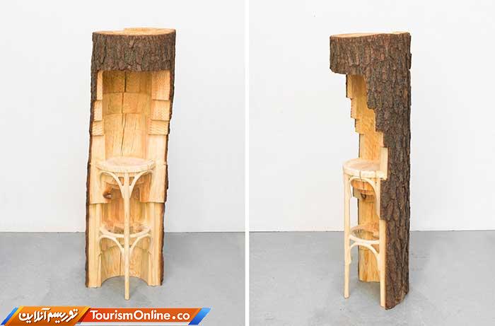 تنه های درخت