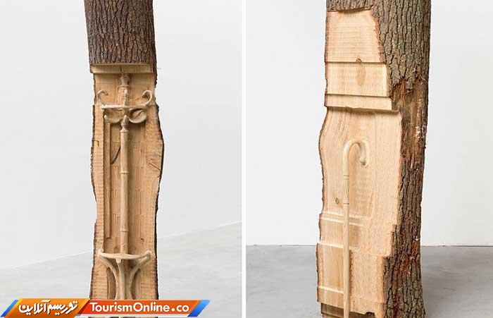 تنه های درخت