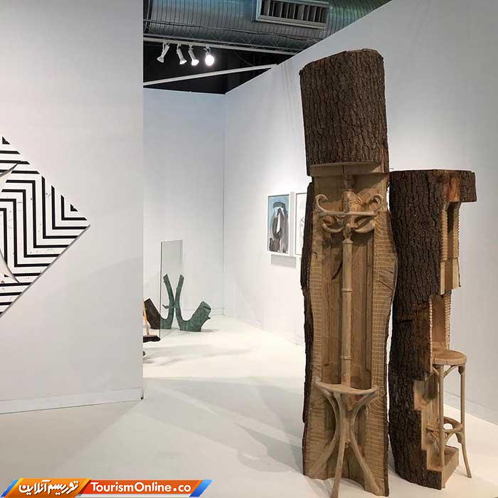 تنه های درخت