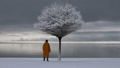 عکسهای خبری