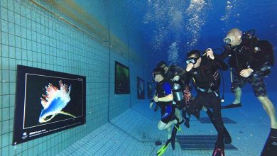 عکسهای خبری