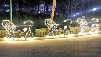 تقویم رویدادهای نوری جهان