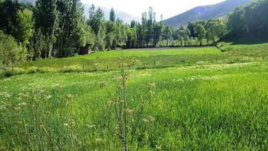 گردشگران نورزی