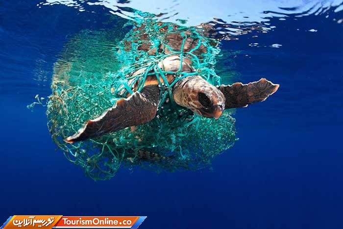 عکاسی زیر آب