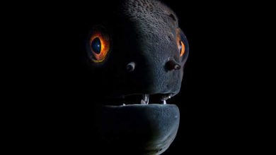 عکاسی زیر آب