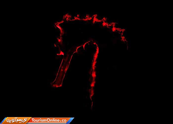 عکاسی زیر آب