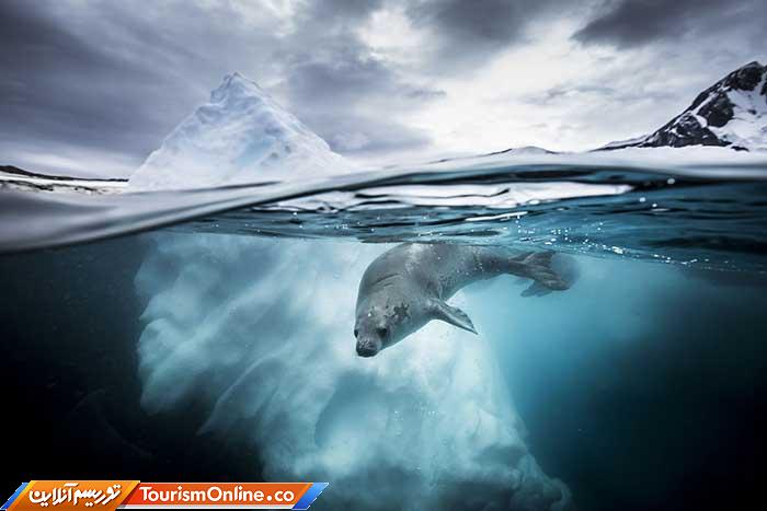 عکاسی زیر آب