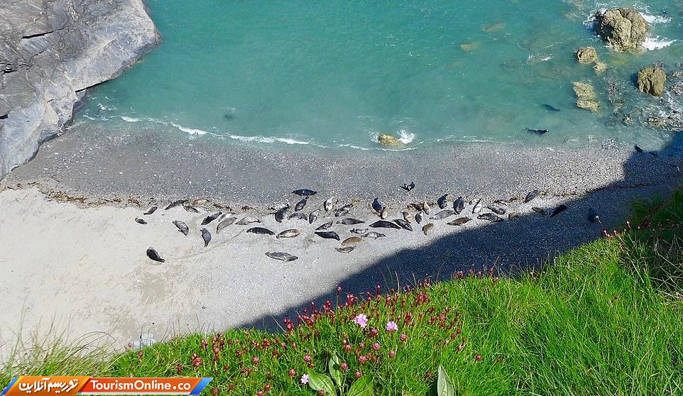 تولد 70 سالگی