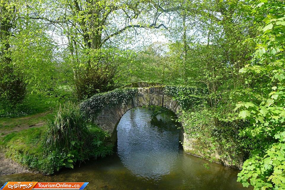 تولد 70 سالگی