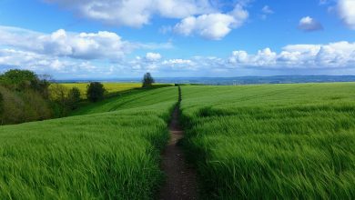 تولد 70 سالگی