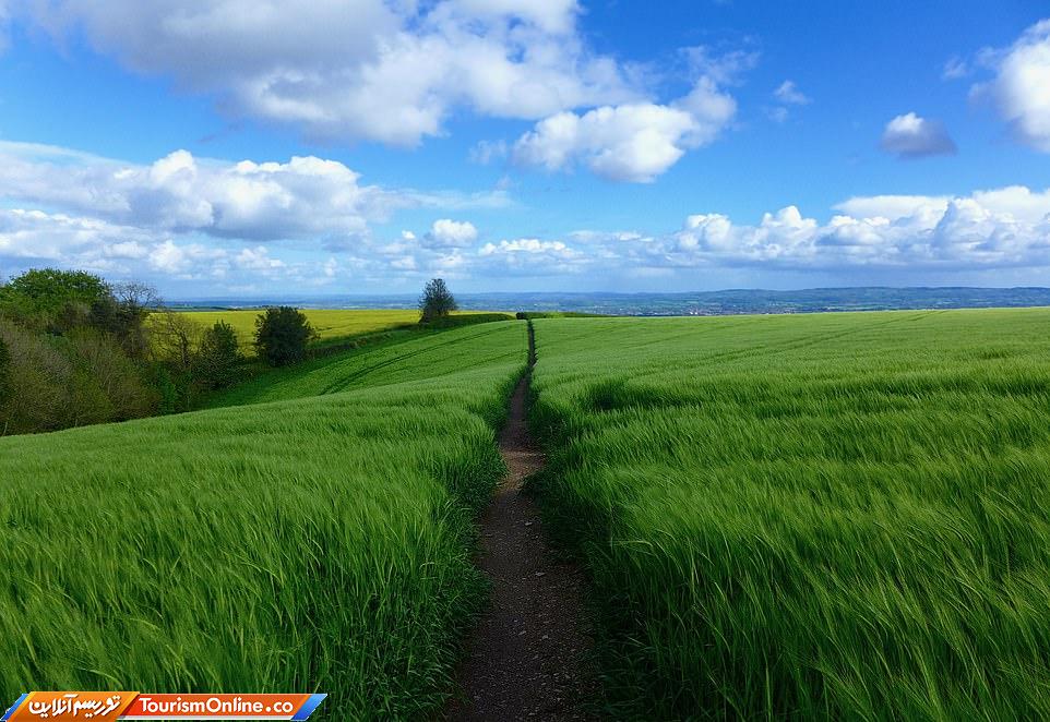 تولد 70 سالگی