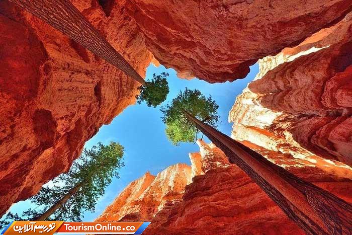 پارک ملی برایس کنیون