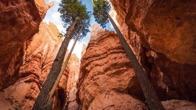 پارک ملی برایس کنیون