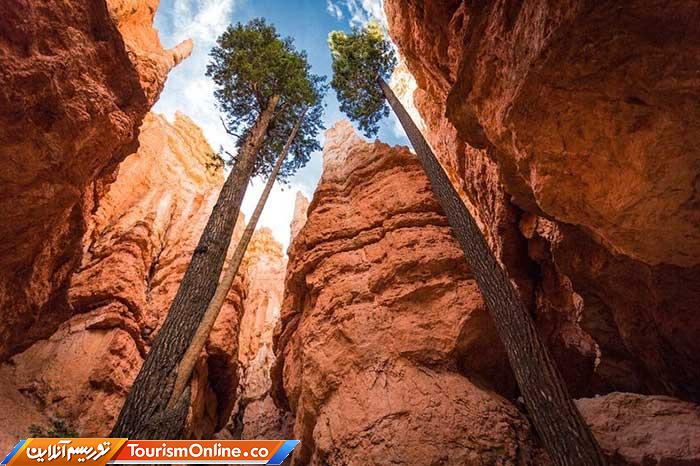 پارک ملی برایس کنیون