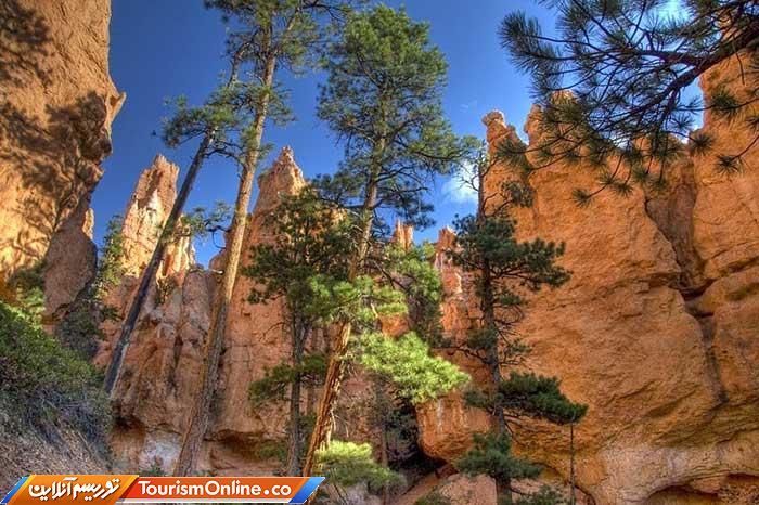 پارک ملی برایس کنیون