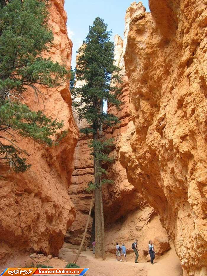 پارک ملی برایس کنیون