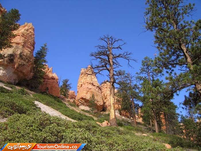 پارک ملی برایس کنیون