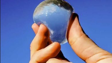 ماراتن لندن