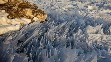 دریاچه میشیگان