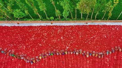 نشنال جئوگرافیک