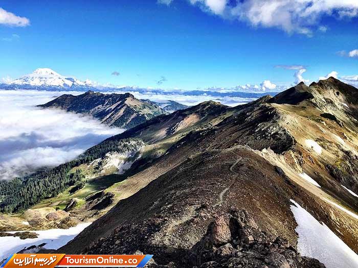 پسیفیک کرست