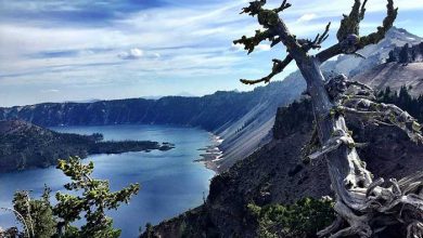 پسیفیک کرست