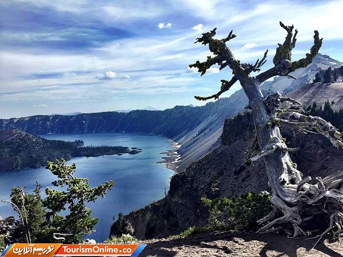 پسیفیک کرست