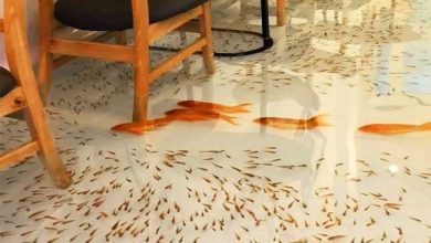 کافه ویتنام