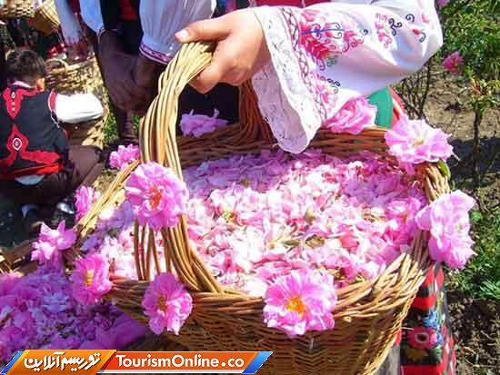 گل غلتان و گلاب