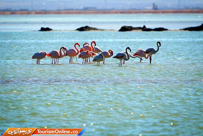 هامون11 دریاچه محبوب و تماشایی ایران