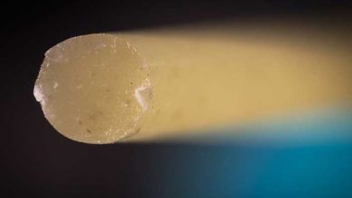 عکاسی ماکرو