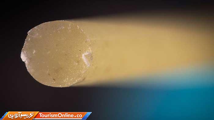 عکاسی ماکرو