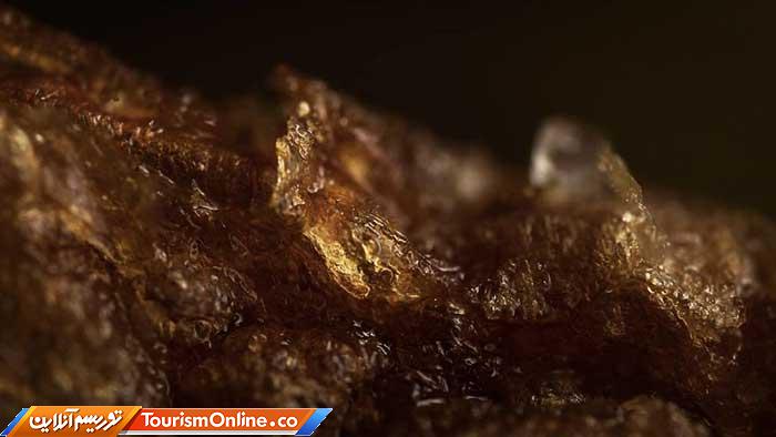 عکاسی ماکرو