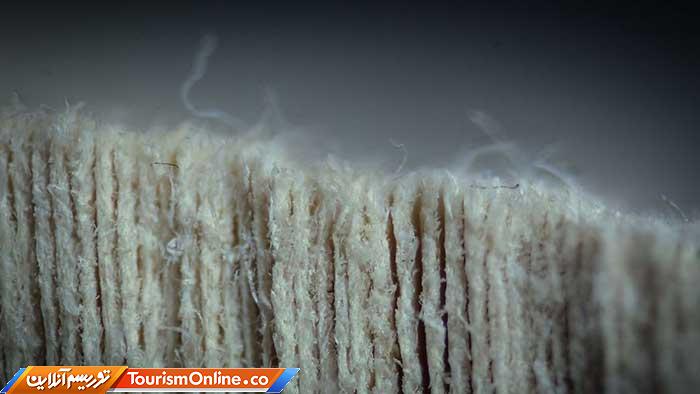 عکاسی ماکرو