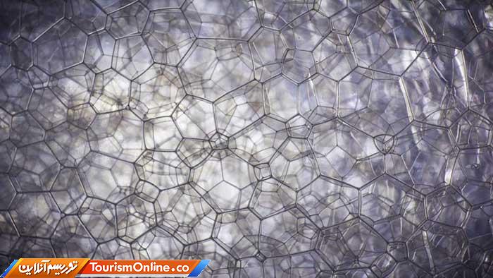 عکاسی ماکرو