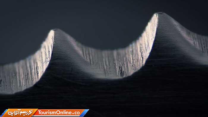 عکاسی ماکرو