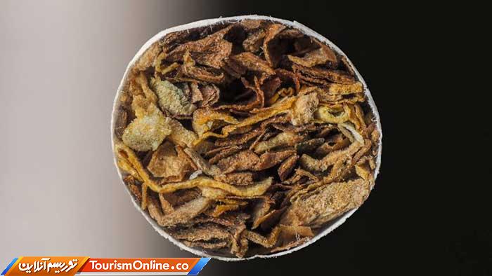 عکاسی ماکرو