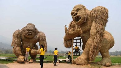 عکسهای خبری