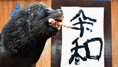 عکسهای خبری