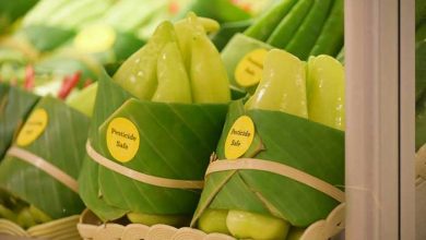 مصرف پلاستیک