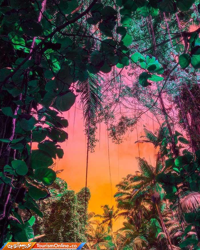 عکسهای رنگی