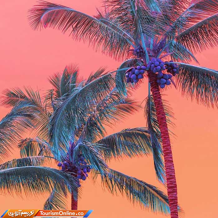 عکسهای رنگی