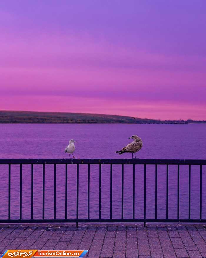 عکسهای رنگی