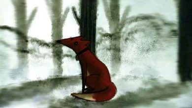 سینمای مستند و تجربی