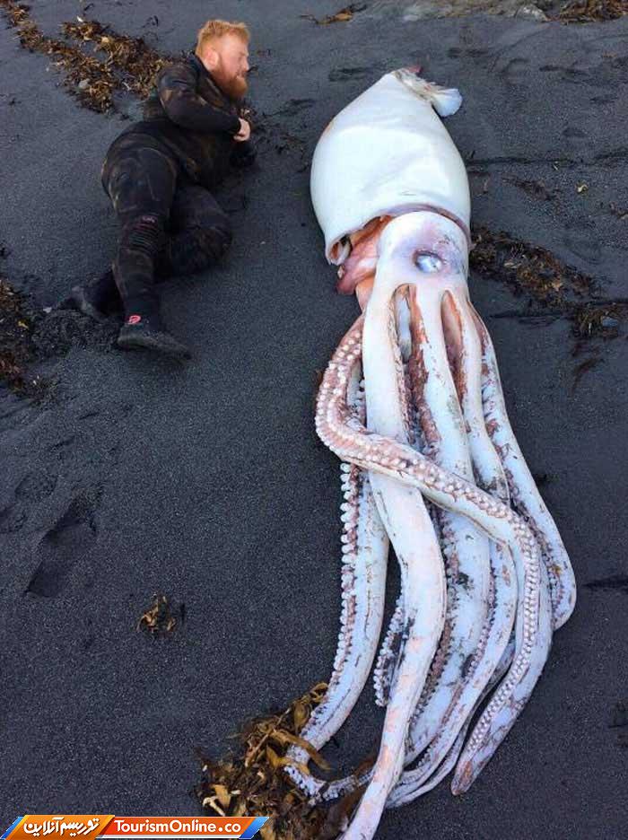 سوغاتی ساحل